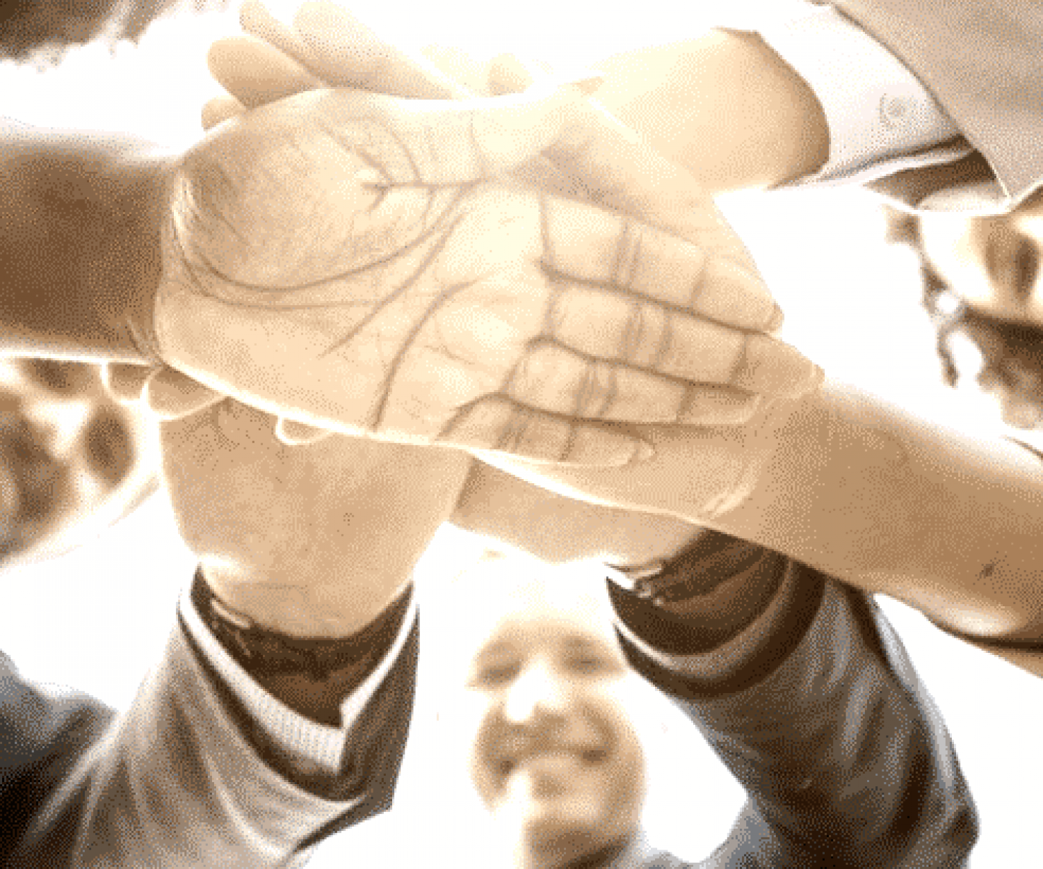 seminare für ngo und verbände