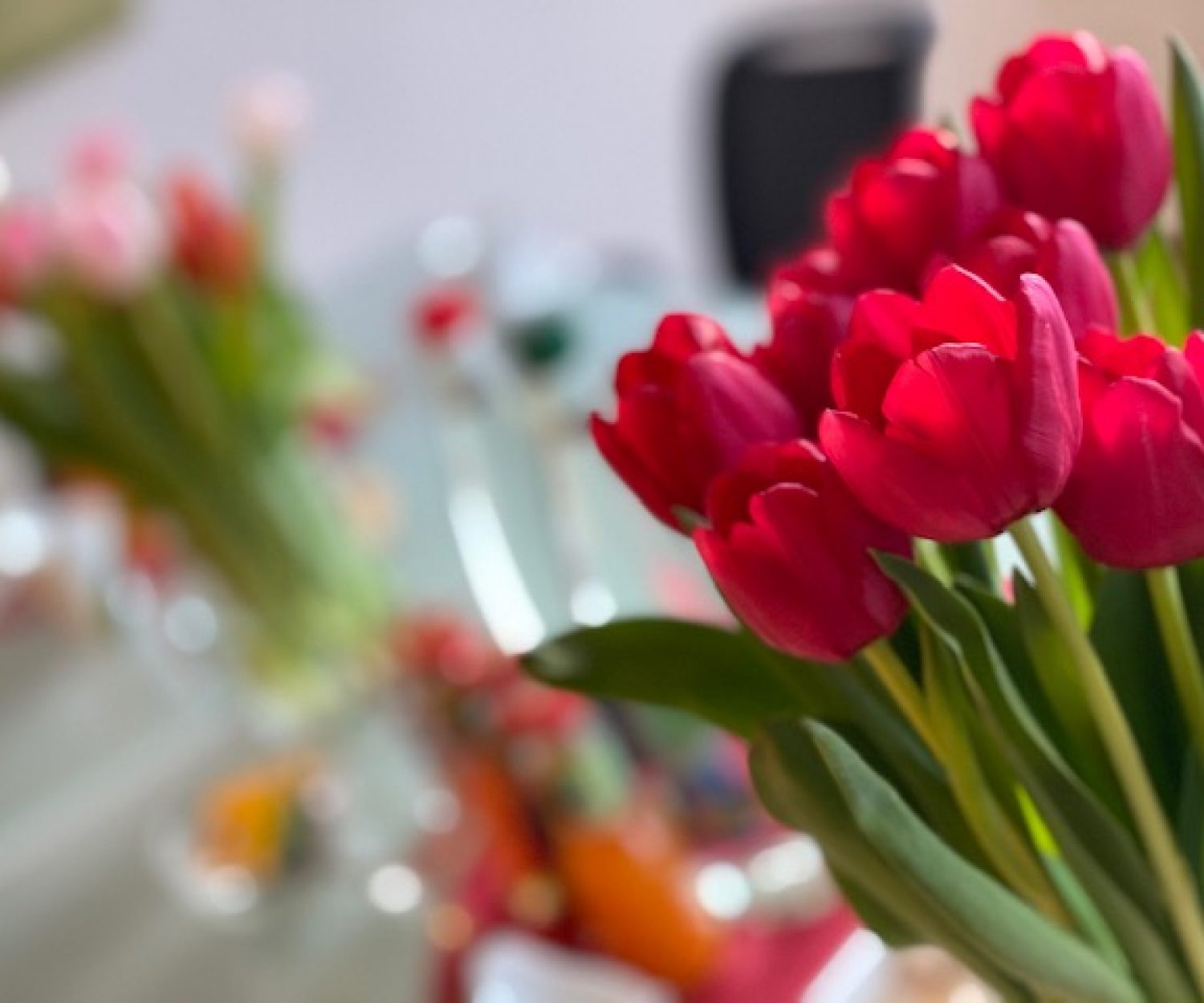 Danke für Google Sterne Bewertung der Seminare