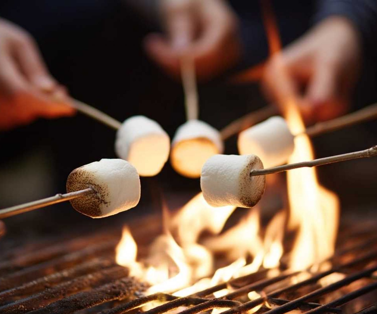 inhouse fortbildung feuer verantwortung vertrauen